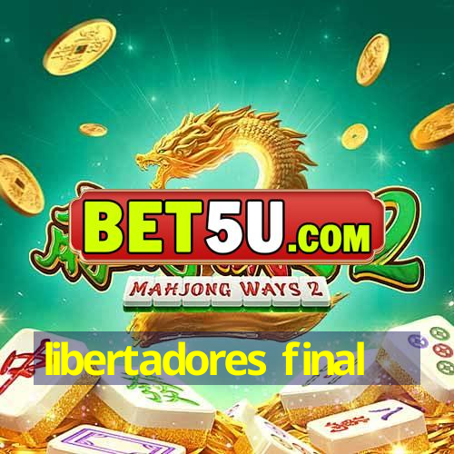 libertadores final